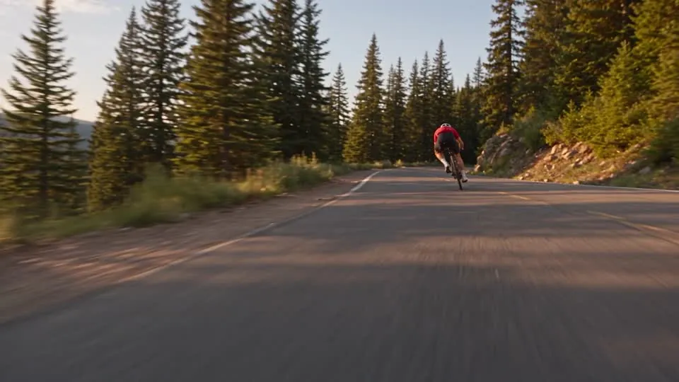 A cyclist in a red jersey riding away down a sunlit mountain road lined with pine trees