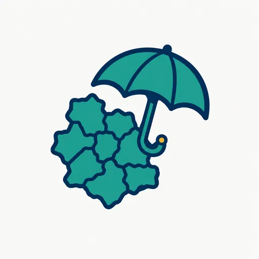 An umbrella over part of a map: partial preemption.